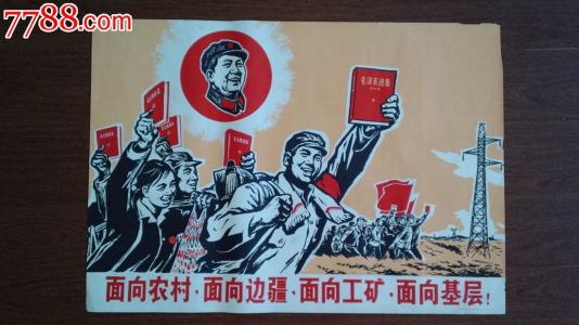 澳大利亚驾驶执照样本照片